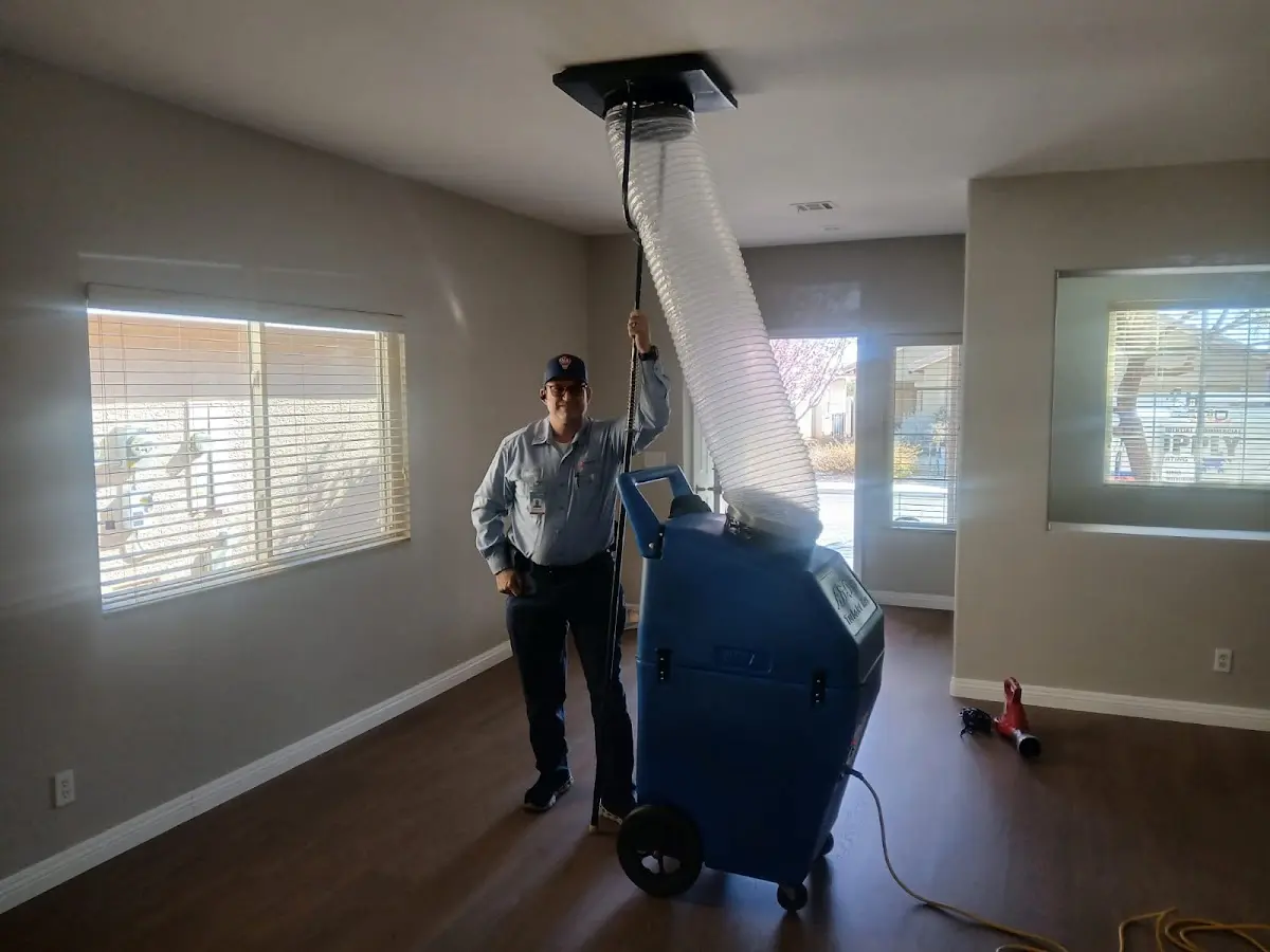 Professional Dryer Vent Cleaning work inside a New Brunswick home